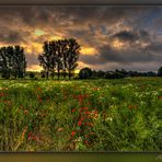 Durchblick am Donnerstag 15.07.2021