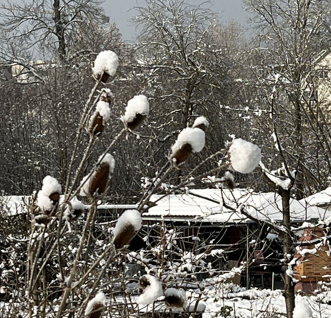 Durchblick am Donnerstag