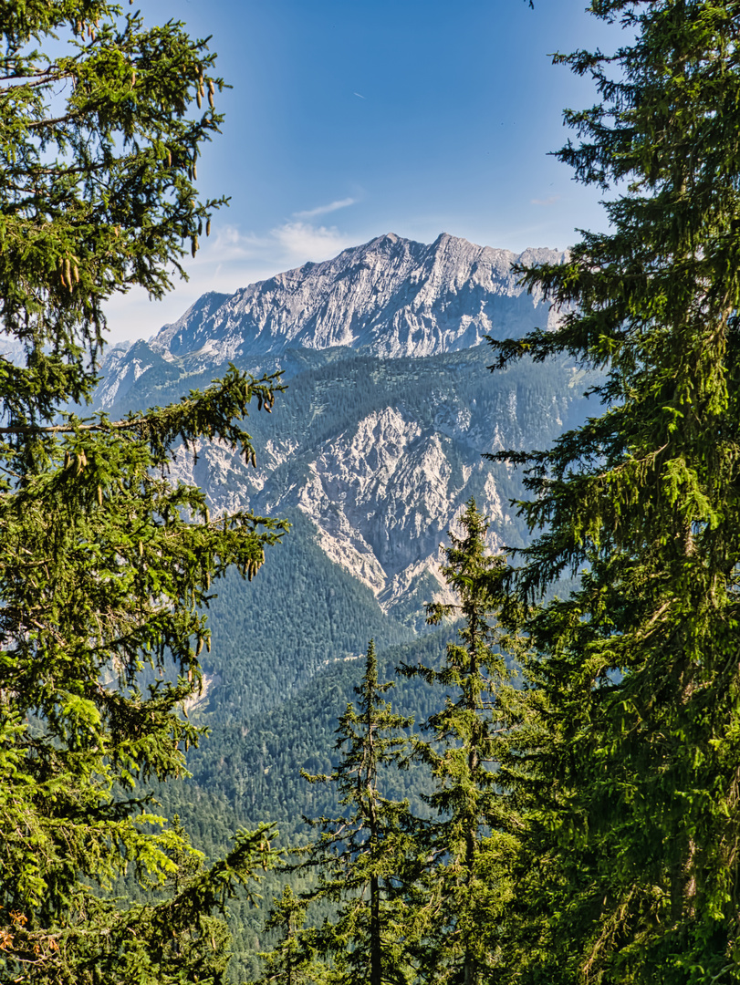 Durchblick am Donnerstag