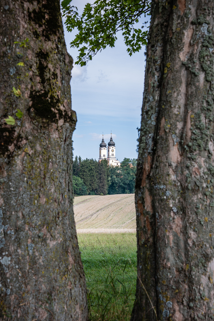 Durchblick am Donnerstag 