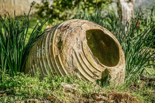 Durchblick am Donnerstag