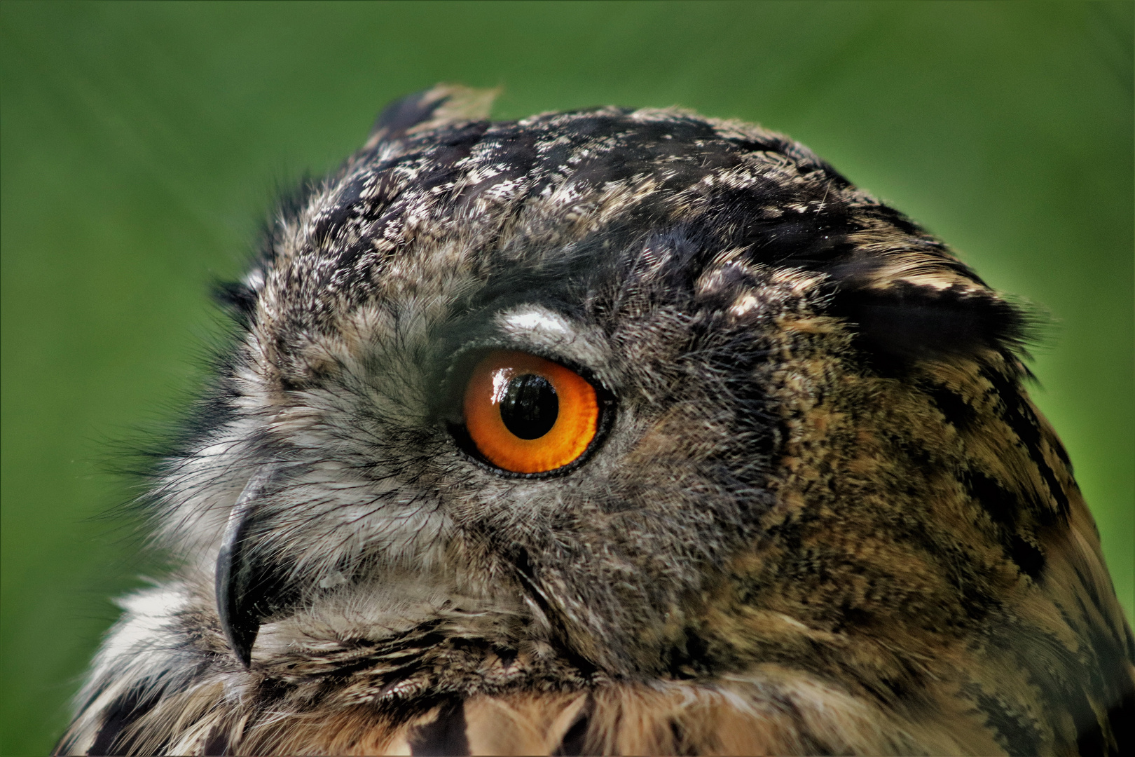 Durchblick am Donnerstag