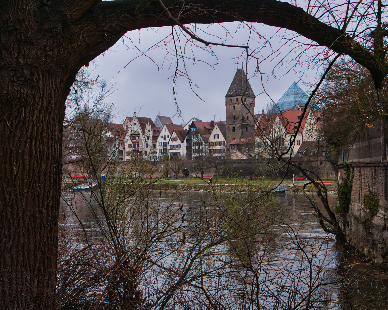 Durchblick am Donnerstag