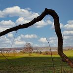 Durchblick am Donnerstag 