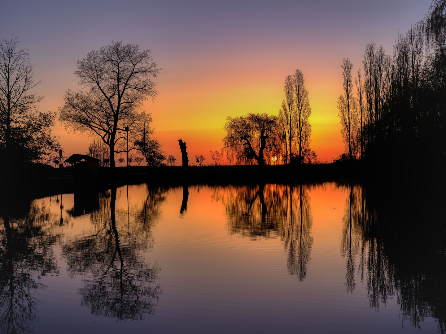 Durchblick am Donnerstag: Sonnenaufgang am Dorfteich