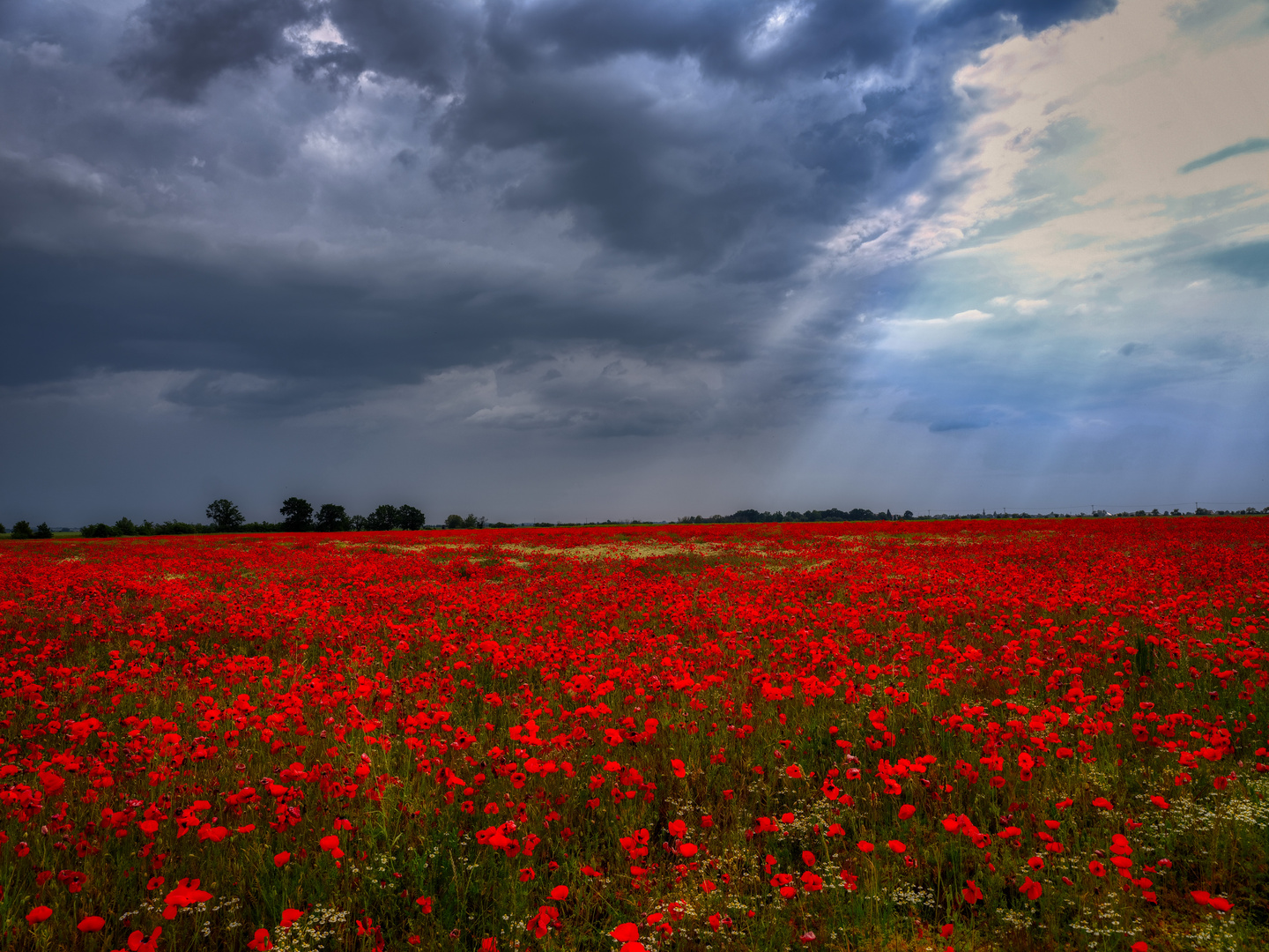 Durchblick am Donnerstag: "Who´ll stop the rain .."