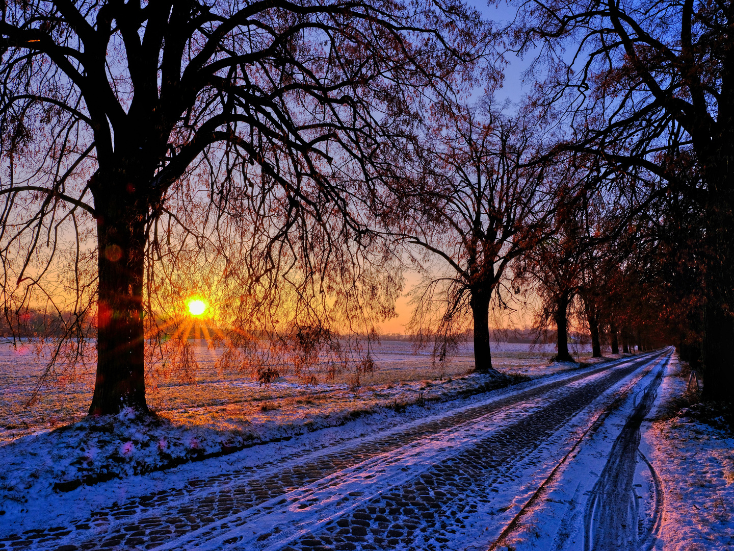 Durchblick am Donnerstag: "Wintermorgensonne"