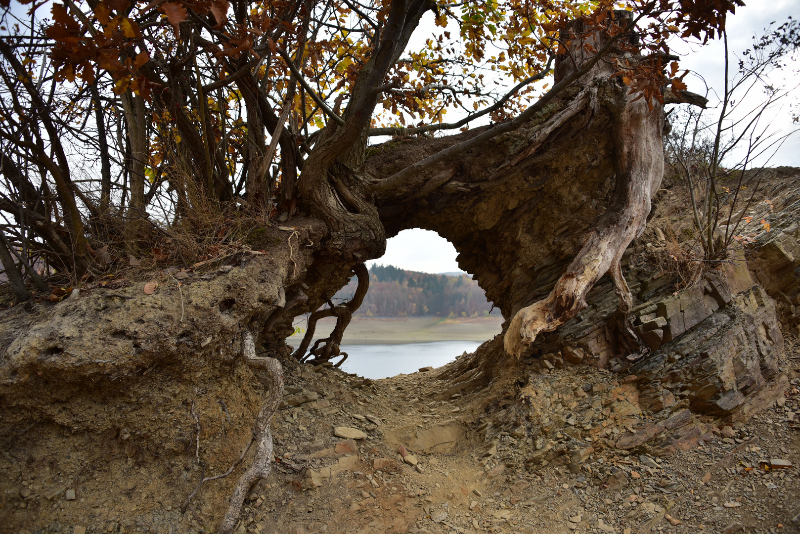 Durchblick am Edersee 