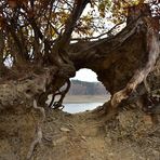 Durchblick am Edersee 