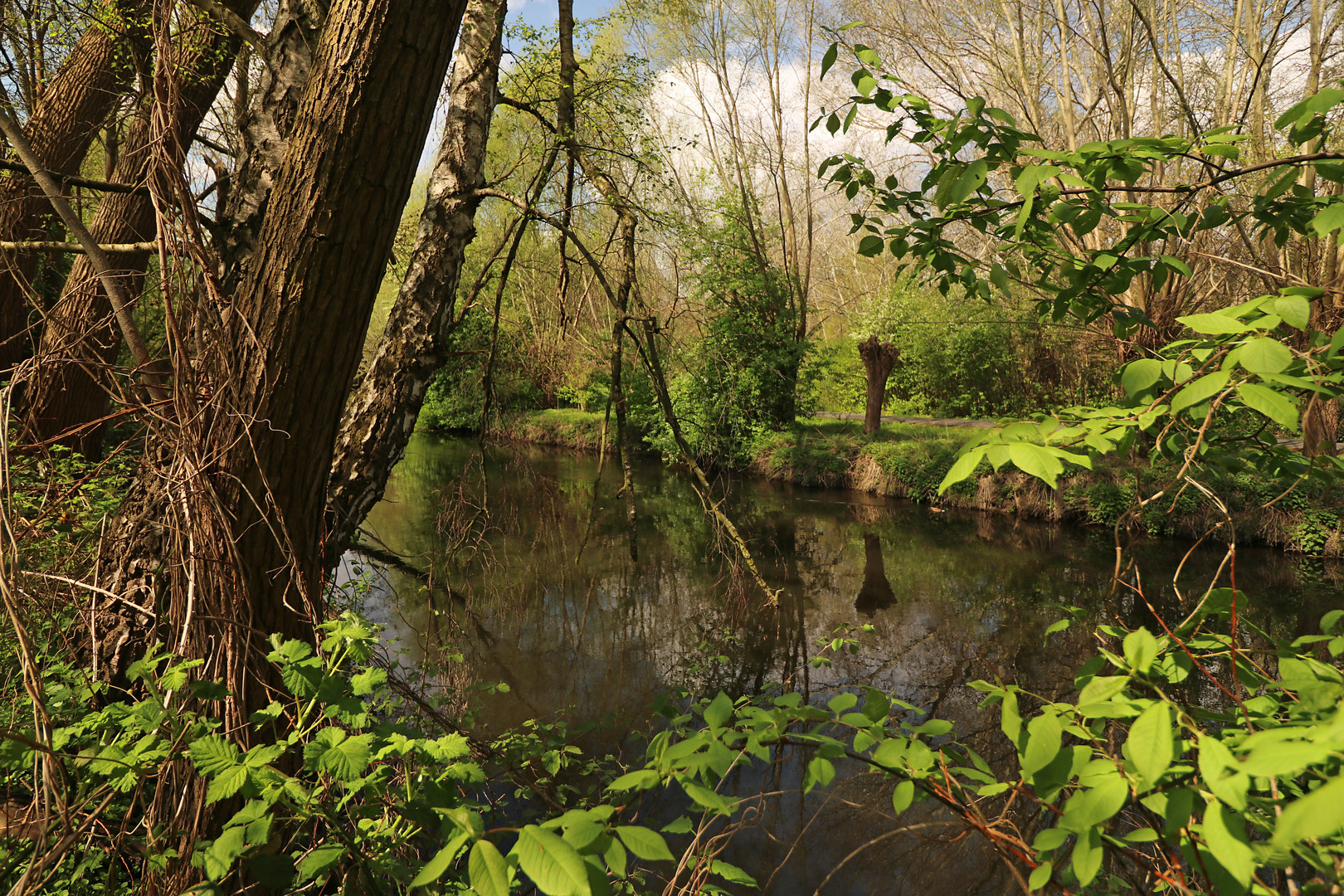 Durchblick am Fluss