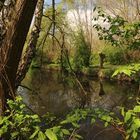 Durchblick am Fluss