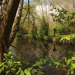 Durchblick am Fluss