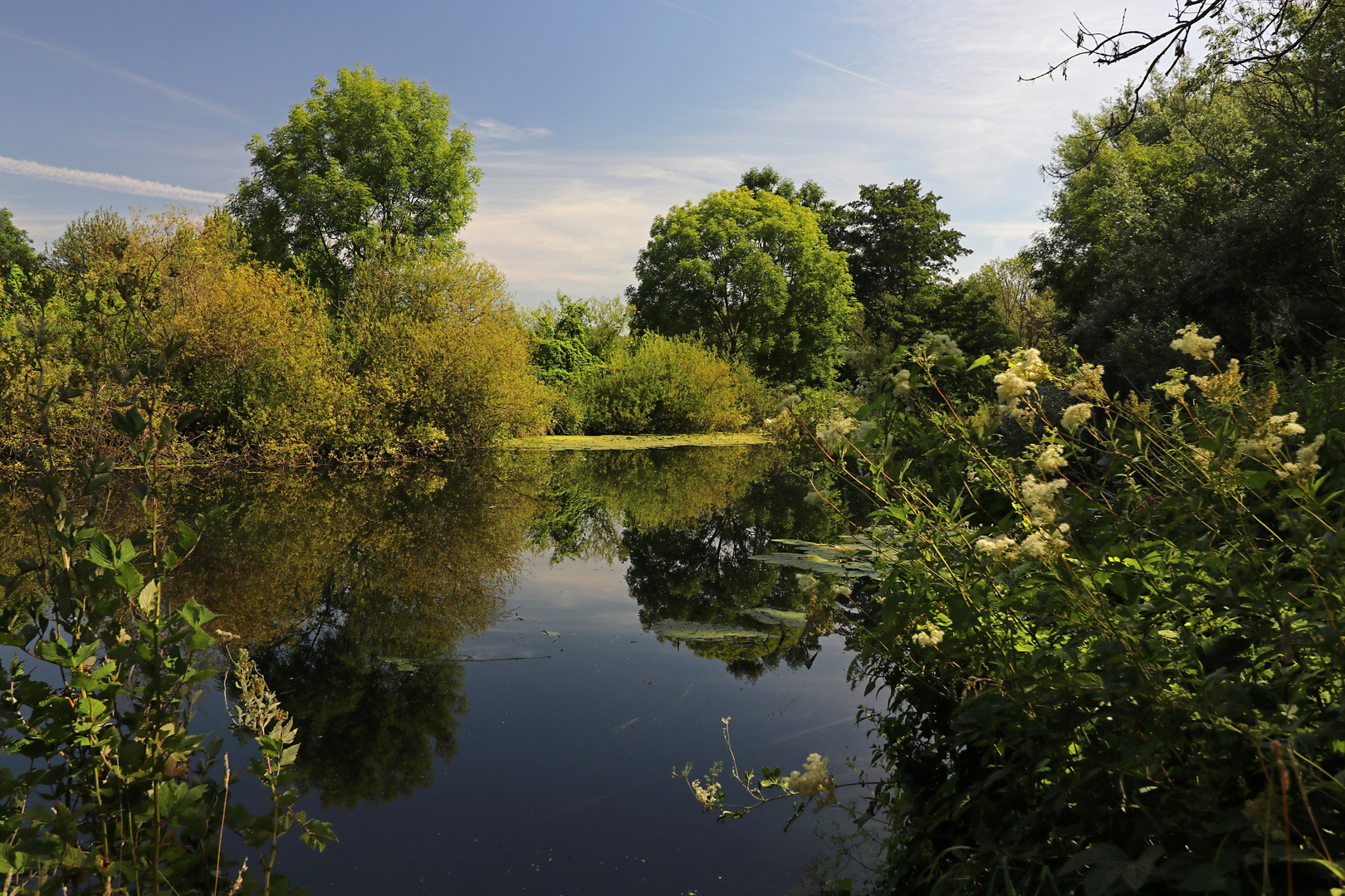 Durchblick am Flussufer