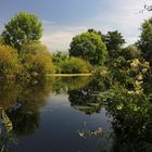 Durchblick am Flussufer