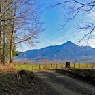 Durchblick am Frühlingsanfang