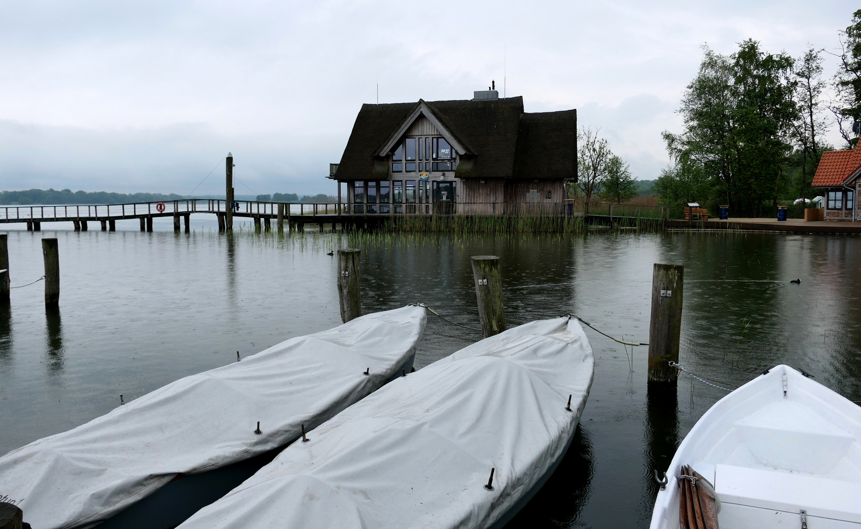 Durchblick am Hemmelsdorfer See