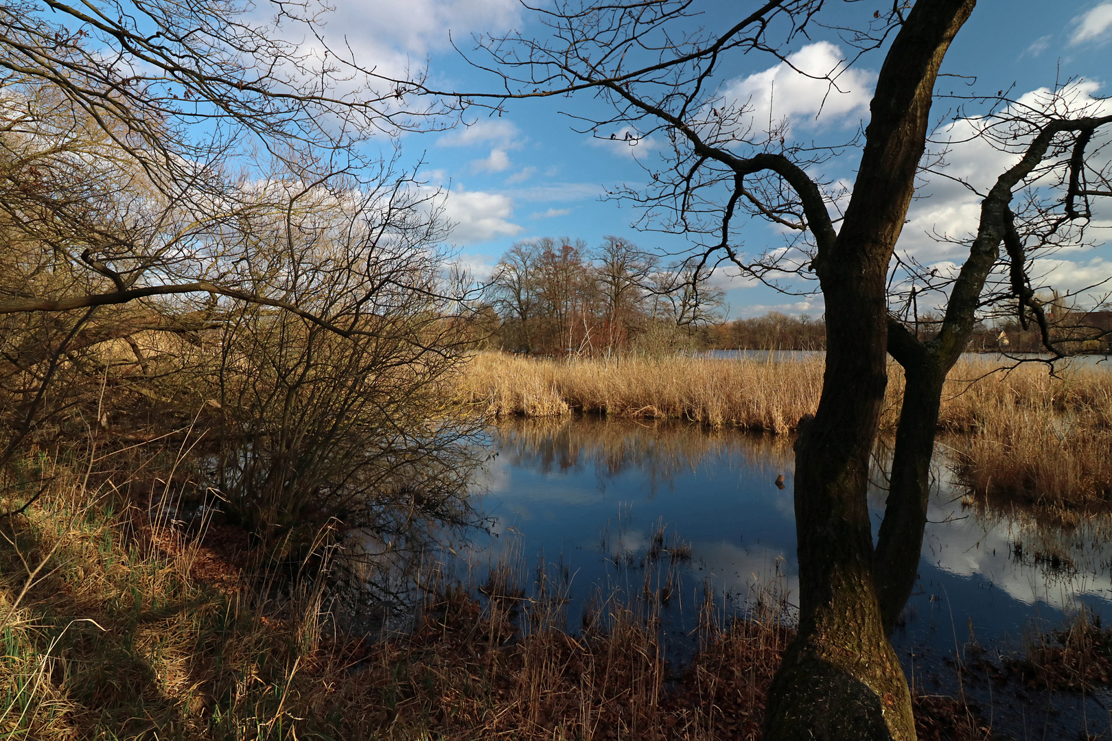 Durchblick am Kreuzteich