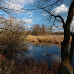 Durchblick am Kreuzteich