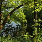 Durchblick am Lagesteich