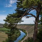 Durchblick am Pfingsmontag auf den Neckar