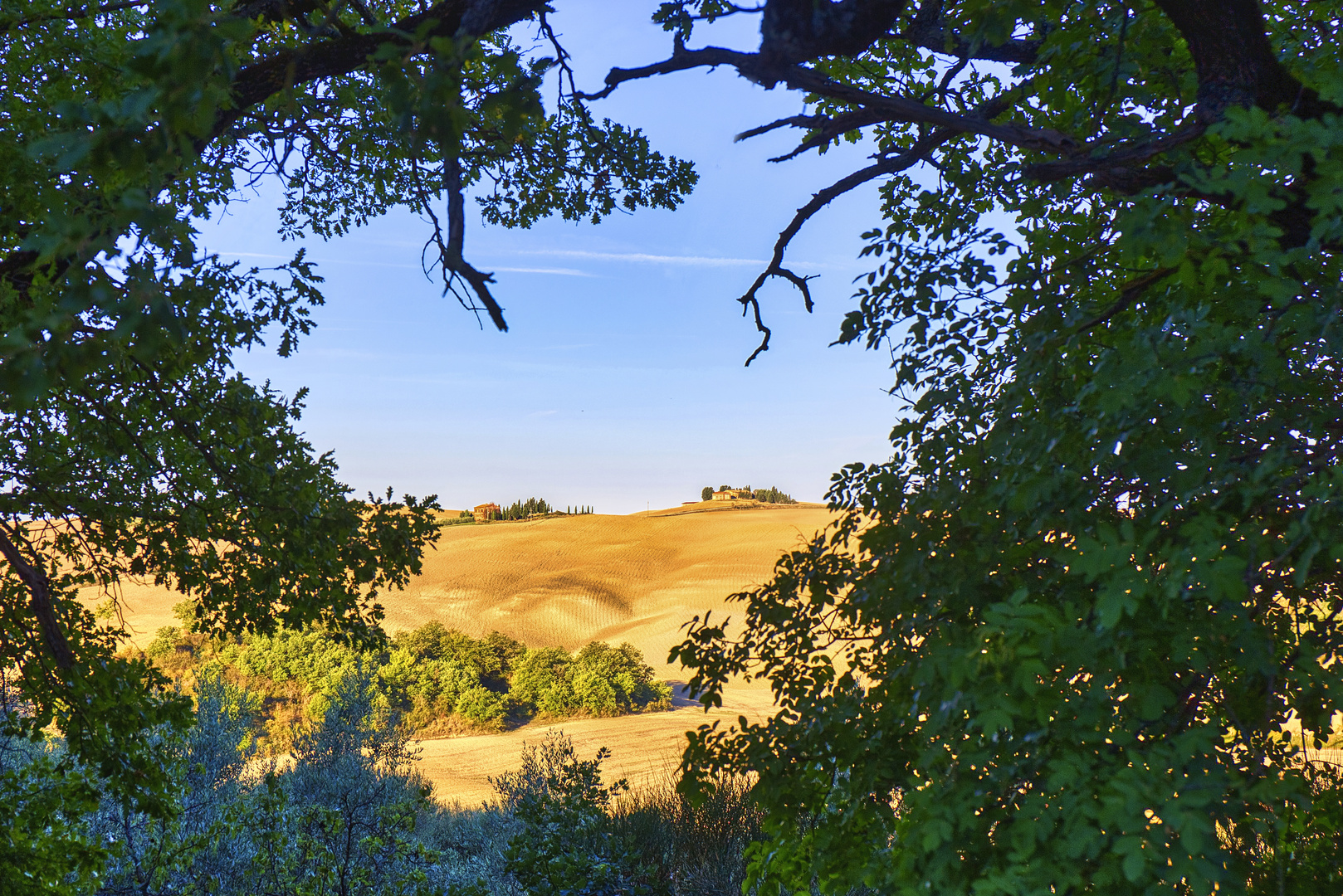 Durchblick am Podere Spedalone ...