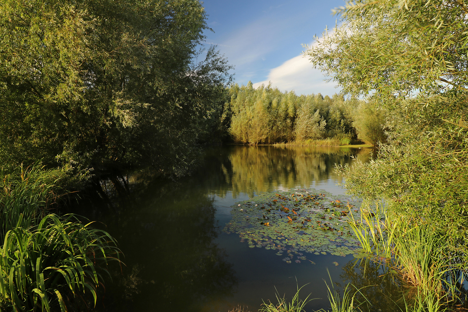 Durchblick am Regenbecken