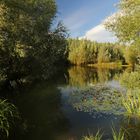 Durchblick am Regenbecken