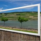 Durchblick am Rhein