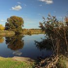 Durchblick am Rieselteich