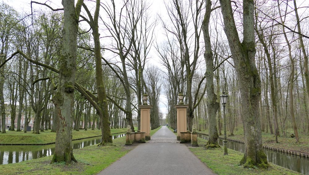 Durchblick am Schloss Nordkirchen