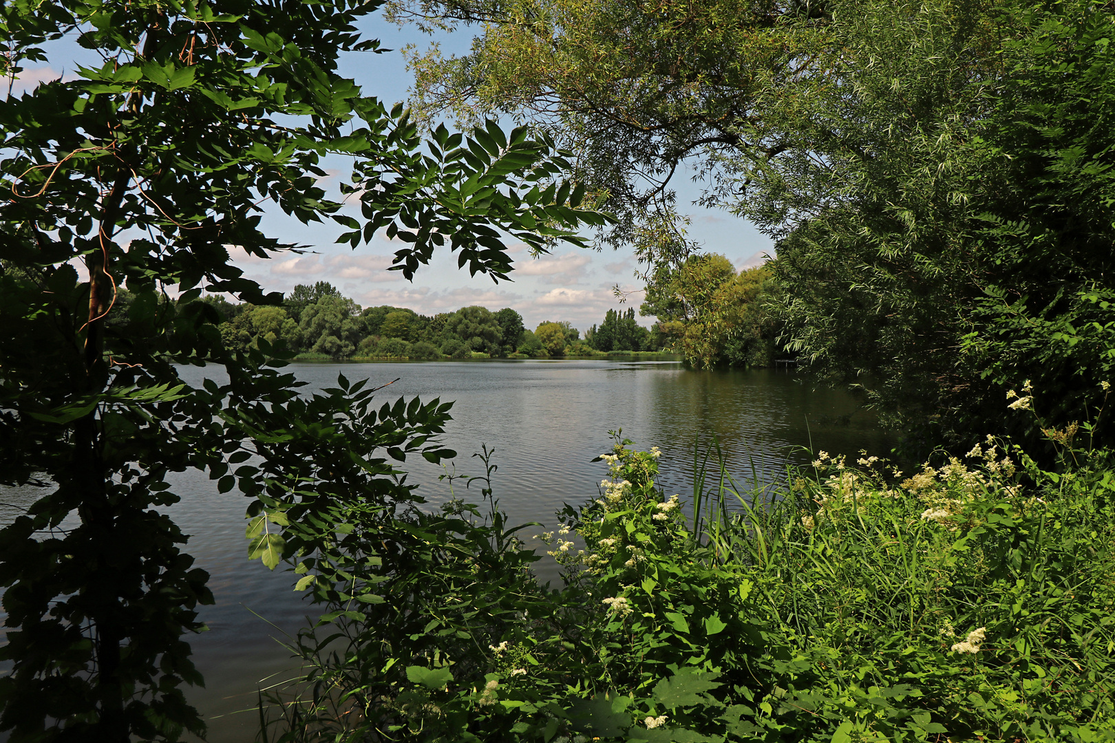 Durchblick am See