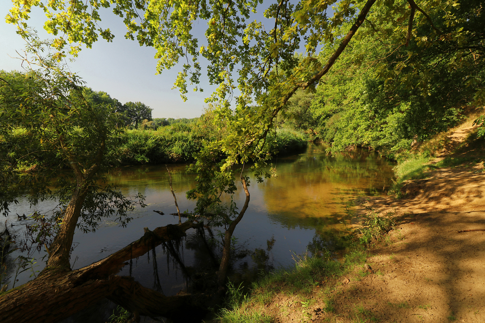 Durchblick am Steilufer