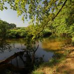 Durchblick am Steilufer