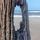 Durchblick am Strand