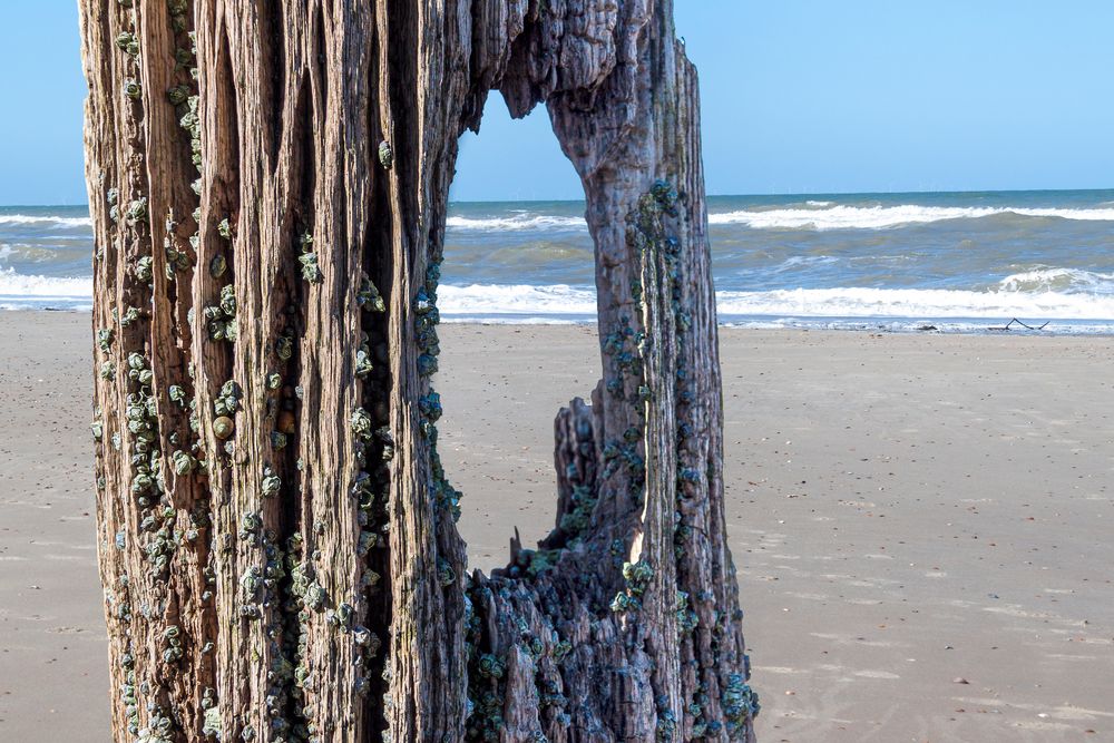 Durchblick am Strand