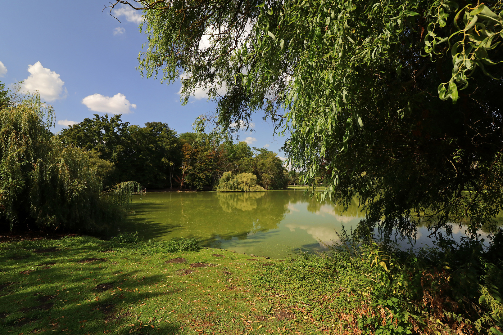 Durchblick am Südteich