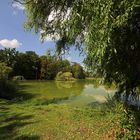 Durchblick am Südteich