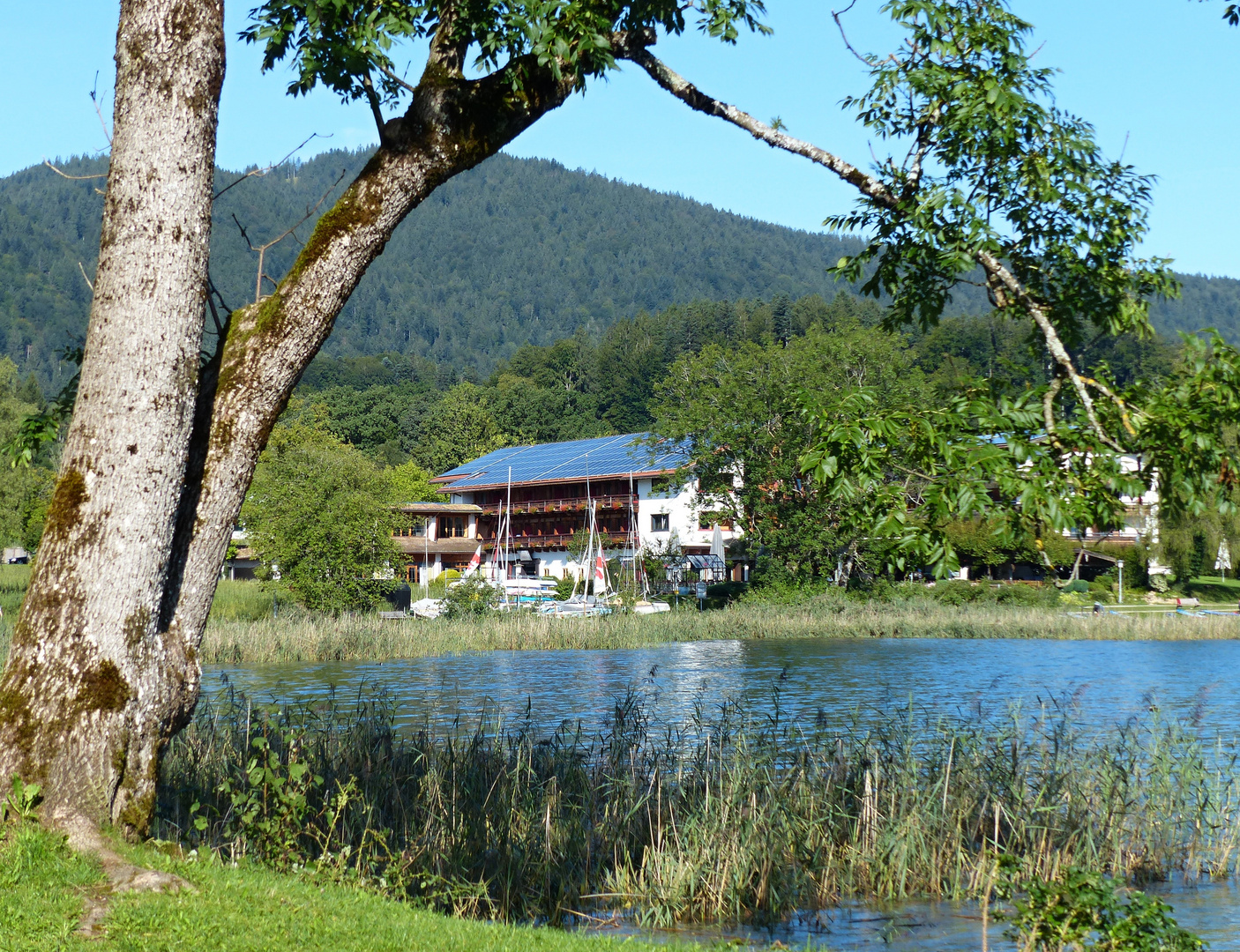 Durchblick am Tegernsee