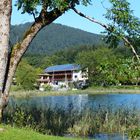 Durchblick am Tegernsee