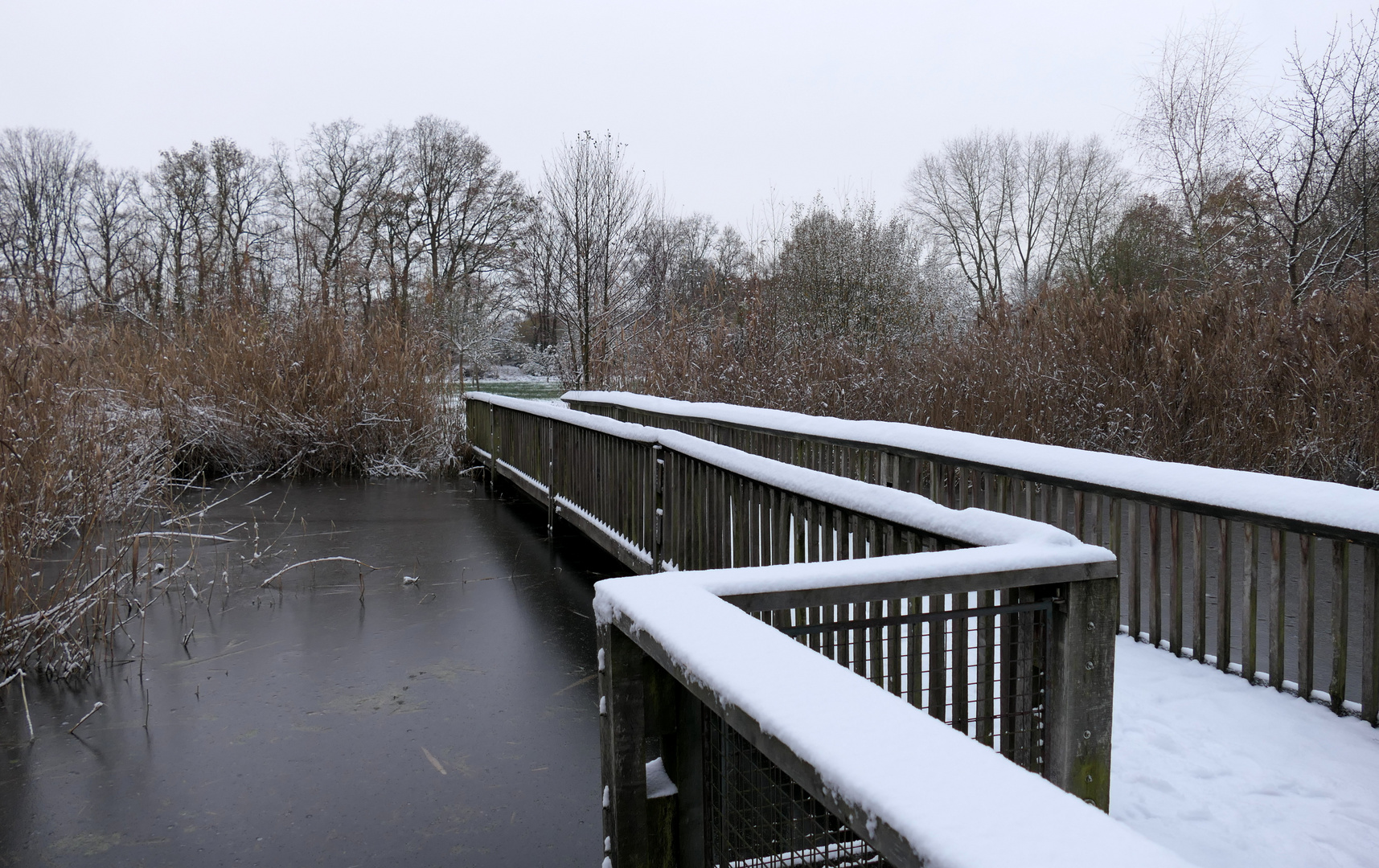 Durchblick am Teich