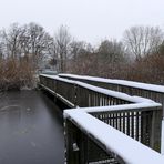 Durchblick am Teich