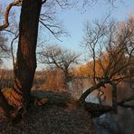 Durchblick am Ufer