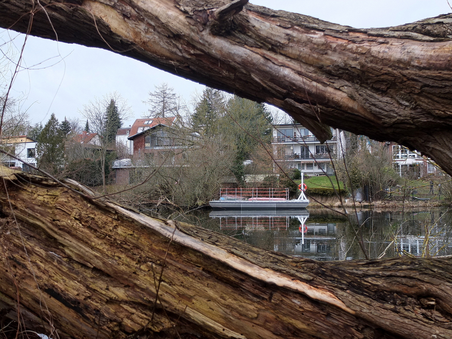 Durchblick am Ufer