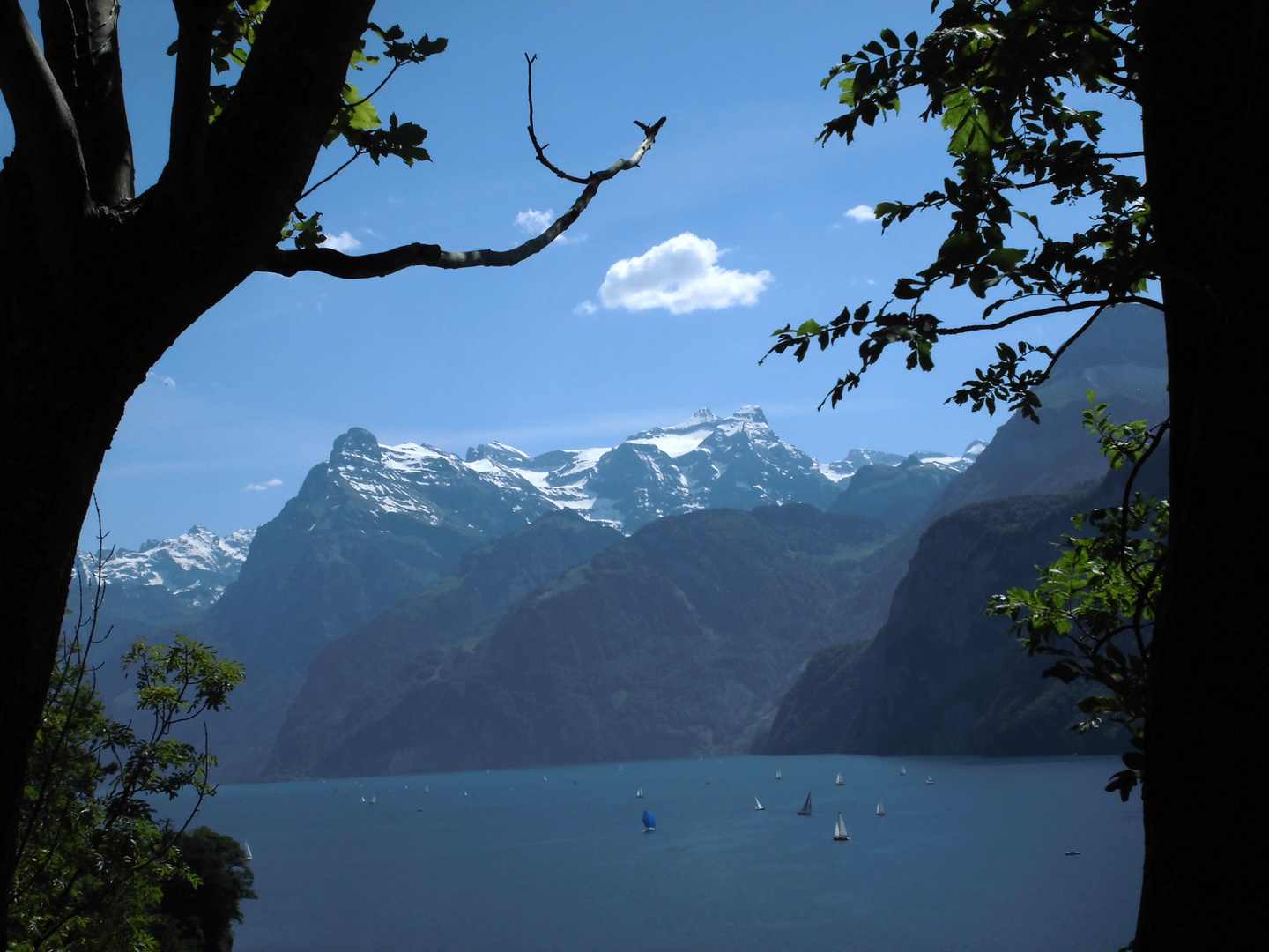 Durchblick-am-Vierwaldstätter-See-