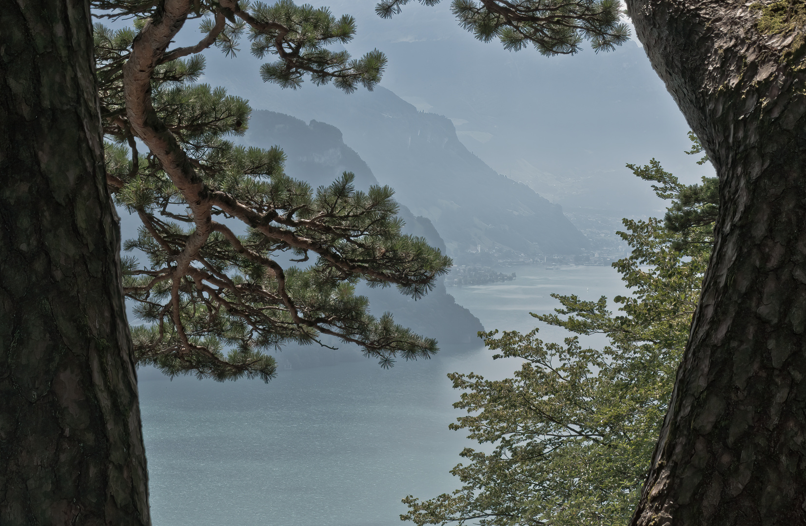 Durchblick am Vierwaldstättersee