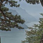 Durchblick am Vierwaldstättersee