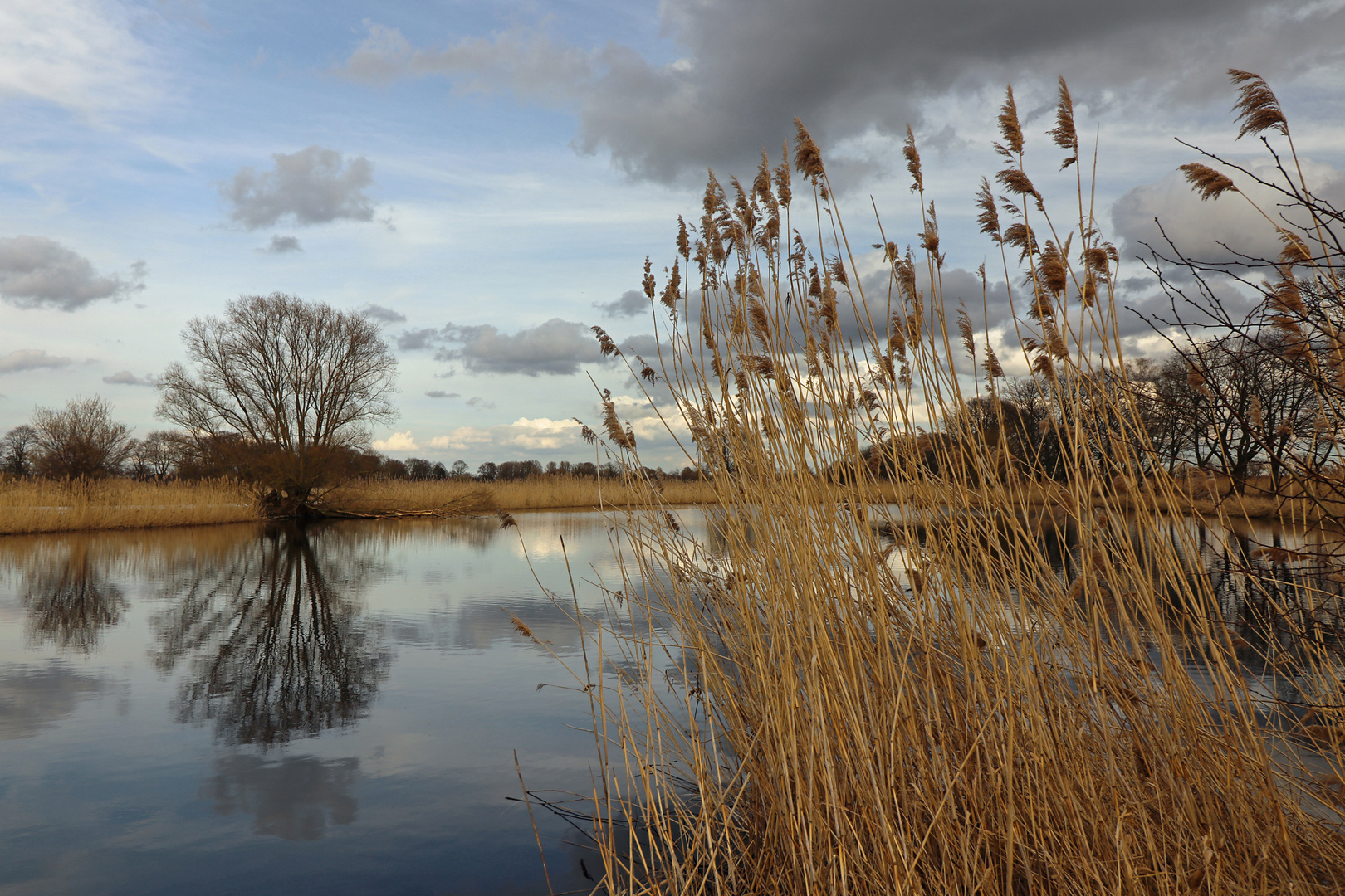 Durchblick am Wasser