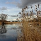 Durchblick am Wasser