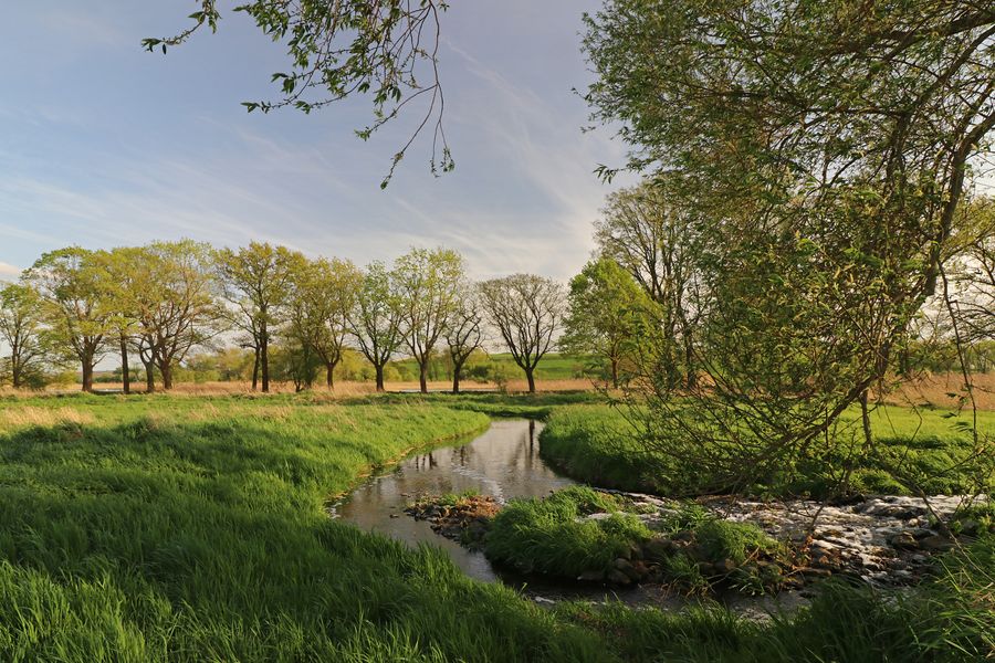 Durchblick am Wassergraben