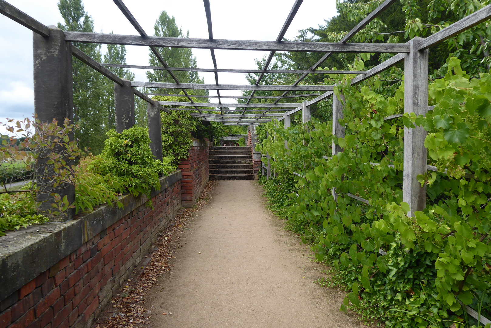 Durchblick am "Weinberg" in Wörlitz